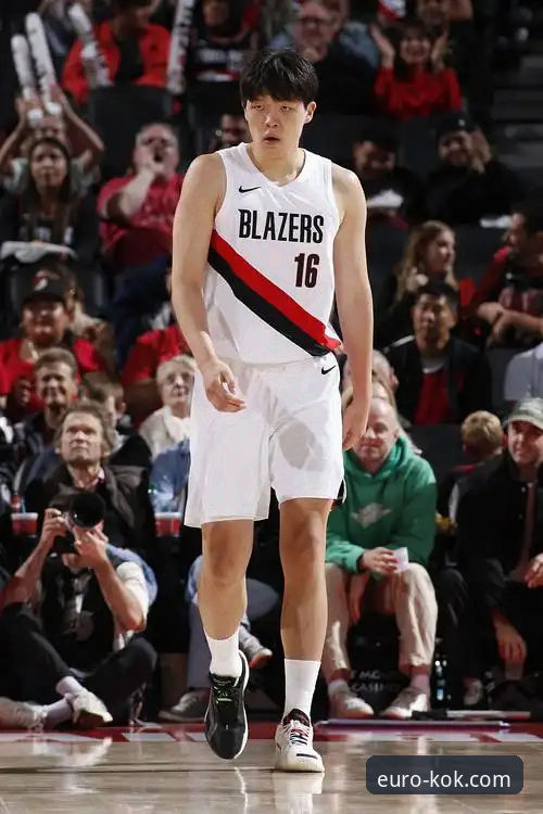 KOK中欧平台手机下载与使用全攻略