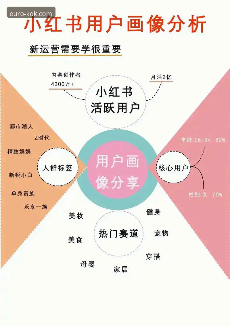 资深用户深度解析：kok下载安装官方下载全流程与使用心得
